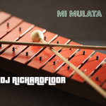 Обложка трека Mi Mulata