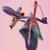The Banjo Beat - Hayasa G