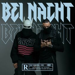 Обложка трека Bei Nacht