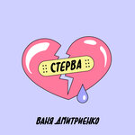 Обложка трека Стерва