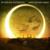 Angels Fall - Breaking Benjamin