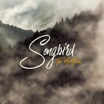 Обложка трека Songbird