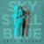High Wire - Seth Walker