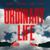 Ordinary Life - KDDK feat. KIDDO