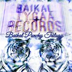 Обложка трека Baikal Punchy Trilogy (Episode 3)