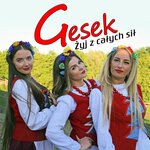 Обложка трека Żyj z całych sił
