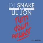 Обложка трека Turn Down for What