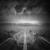 Dead End Utopia - Walking Dead On Broadway