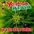 Pollerudo - Yerba Brava