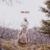 Devil's Door - Tina Dico