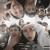 Дэнс дэнс - Heronwater
