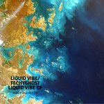 Обложка трека Liquid Vibe