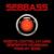 Pong My Song (2008) - SEBBASS