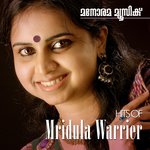 Обложка трека Vaanam Chuttum Megham