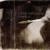 Hutchings: Repose - Sophie Hutchings