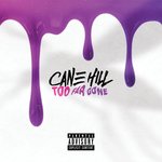Обложка трека Too Far Gone