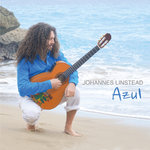 Обложка трека Hechicera