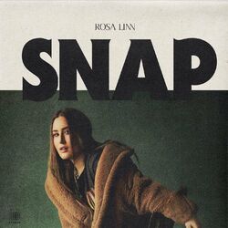 Обложка трека SNAP