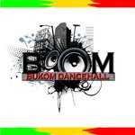 Обложка трека Fat Ass Girls