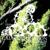 The Day Mother Earth Quit Living - The Gaia Corporation