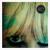 Lord Knows - Dum Dum Girls