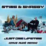 Обложка трека Just One Lifetime