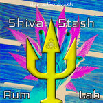 Обложка трека Shiva Stash