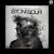 RU486 - Stone Sour