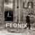Taro - Feonix