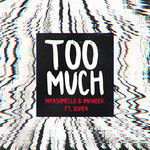 Обложка трека Too Much