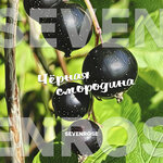 Обложка трека Чёрная смородина