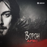 Обложка трека Ворон