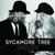 Trouble - Sycamore Tree