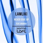 Обложка трека Never Give Up