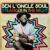Stranger In The Night - Ben l'Oncle Soul