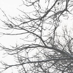 Обложка трека Плевать