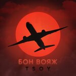 Обложка трека Бон вояж