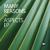 Tube - Many Reasons