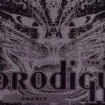 Обложка трека Charly