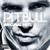 Voodoo - Pitbull