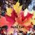 Hello Fall - Savanna Bassett