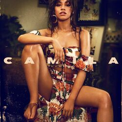 Обложка трека Havana (feat. Young Thug)