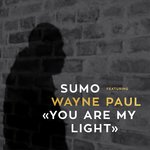 Обложка трека You Are My Light