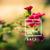 Zoo - Matan Arkin