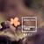 Too Many Trips - Matan Arkin