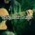 Gaillarde - Bossa Nova Lounge Orchestra