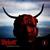 Wait and Bleed - Slipknot