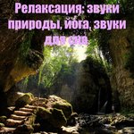 Обложка трека Молчание гор