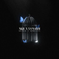 Обложка трека NKBİ X YAPAMAM (Remix)