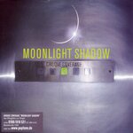 Обложка трека Moonlight Shadow